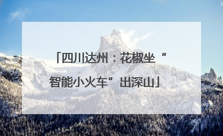 四川达州：花椒坐“智能小火车”出深山