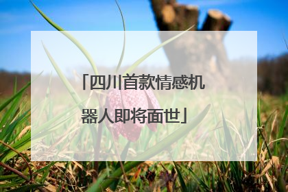 四川首款情感机器人即将面世