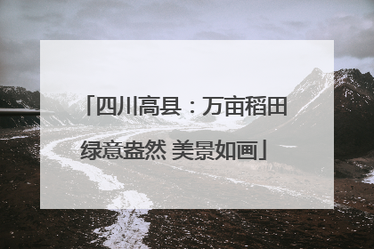 四川高县：万亩稻田绿意盎然 美景如画