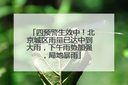 四预警生效中！北京城区雨量已达中到大雨，下午雨势加强，局地暴雨