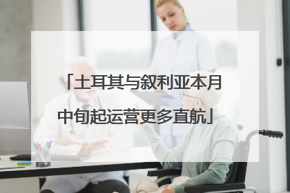土耳其与叙利亚本月中旬起运营更多直航