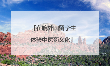 在皖外国留学生体验中医药文化