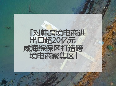 对韩跨境电商进出口超20亿元 威海综保区打造跨境电商聚集区