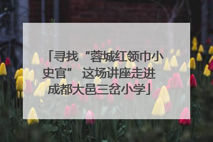 寻找“蓉城红领巾小史官” 这场讲座走进成都大邑三岔小学