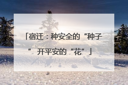 宿迁：种安全的“种子” 开平安的“花”