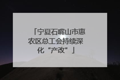 宁夏石嘴山市惠农区总工会持续深化“产改”