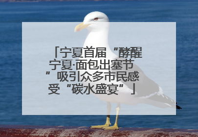 宁夏首届“酵醒宁夏·面包出塞节”吸引众多市民感受“碳水盛宴”