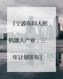 宁波布局人形机器人产业，三年计划发布
