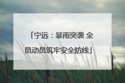 宁远：暴雨突袭 全员动员筑牢安全防线
