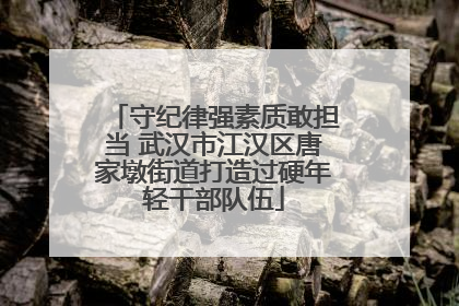 守纪律强素质敢担当 武汉市江汉区唐家墩街道打造过硬年轻干部队伍