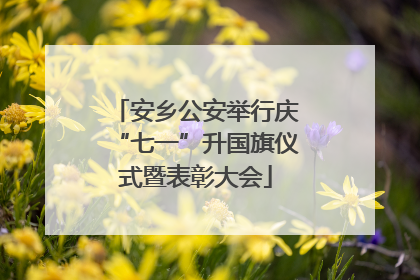 安乡公安举行庆“七一”升国旗仪式暨表彰大会