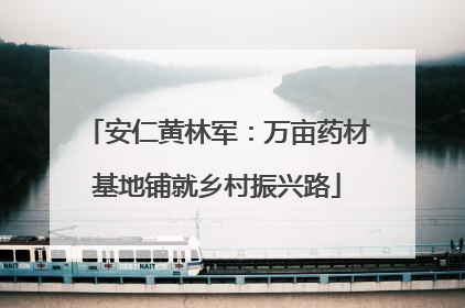 安仁黄林军：万亩药材基地铺就乡村振兴路