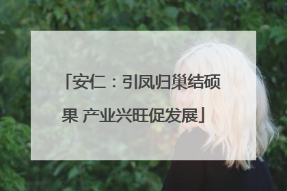 安仁：引凤归巢结硕果 产业兴旺促发展