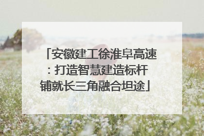 安徽建工徐淮阜高速：打造智慧建造标杆 铺就长三角融合坦途