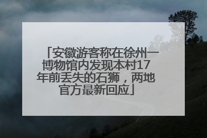 安徽游客称在徐州一博物馆内发现本村17年前丢失的石狮，两地官方最新回应