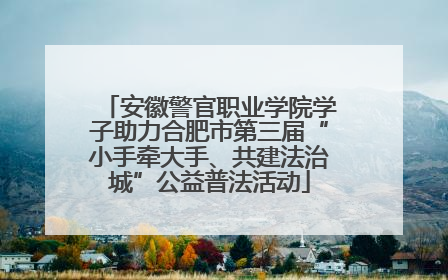 安徽警官职业学院学子助力合肥市第三届“小手牵大手、共建法治城”公益普法活动