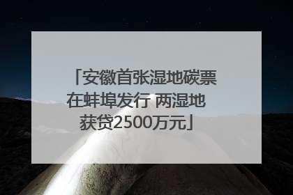 安徽首张湿地碳票在蚌埠发行 两湿地获贷2500万元