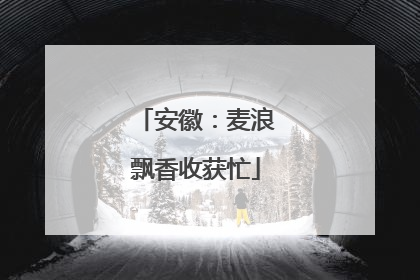 安徽：麦浪飘香收获忙