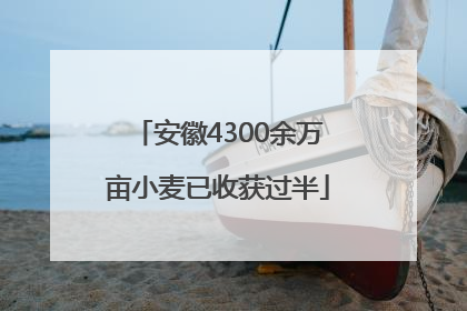 安徽4300余万亩小麦已收获过半