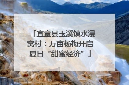 宜章县玉溪镇水浸窝村：万亩杨梅开启夏日“甜蜜经济”