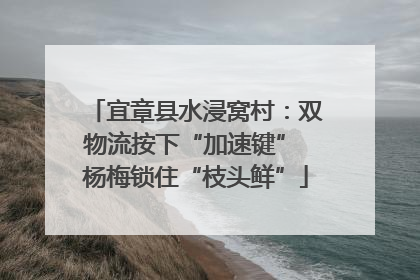 宜章县水浸窝村：双物流按下“加速键” 杨梅锁住“枝头鲜”