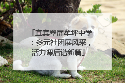 宜宾翠屏牟坪中学：多元社团展风采，活力课后谱新篇