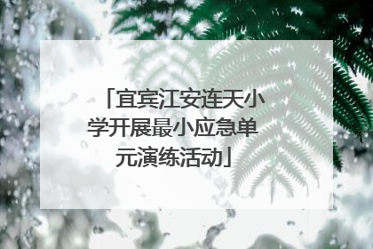 宜宾江安连天小学开展最小应急单元演练活动