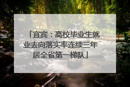 宜宾：高校毕业生就业去向落实率连续三年居全省第一梯队