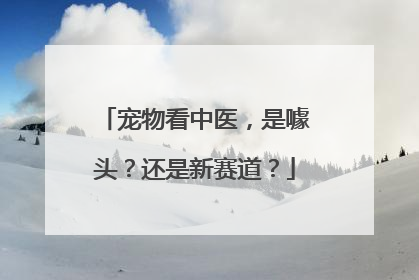 宠物看中医，是噱头？还是新赛道？
