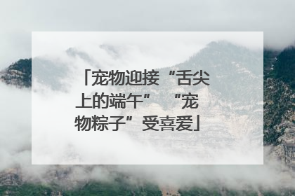 宠物迎接“舌尖上的端午” “宠物粽子”受喜爱