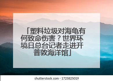 塑料垃圾对海龟有何致命伤害？世界环境日总台记者走进开普敦海洋馆