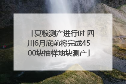 夏粮测产进行时 四川6月底前将完成4500块抽样地块测产
