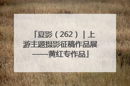 夏影（262）｜上游主题摄影征稿作品展——黄红专作品