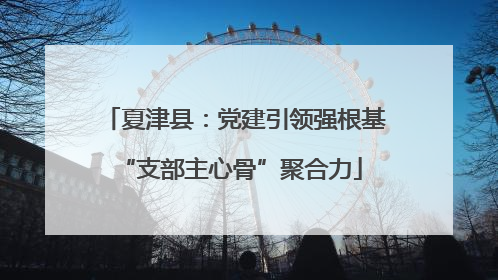 夏津县：党建引领强根基 “支部主心骨”聚合力