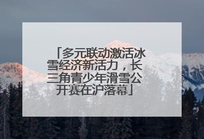 多元联动激活冰雪经济新活力，长三角青少年滑雪公开赛在沪落幕
