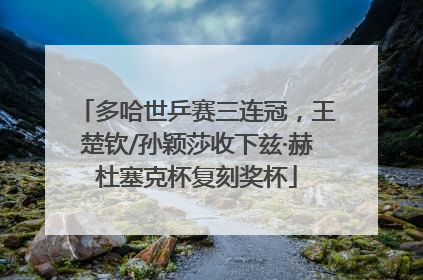 多哈世乒赛三连冠，王楚钦/孙颖莎收下兹·赫杜塞克杯复刻奖杯