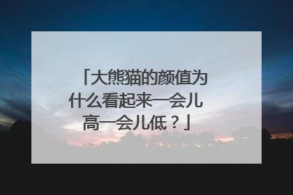 大熊猫的颜值为什么看起来一会儿高一会儿低？