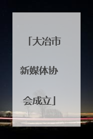 大冶市新媒体协会成立