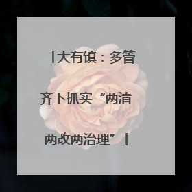 大有镇：多管齐下抓实“两清两改两治理”