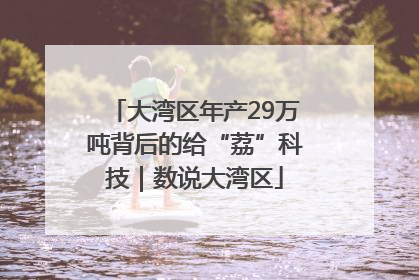 大湾区年产29万吨背后的给“荔”科技｜数说大湾区