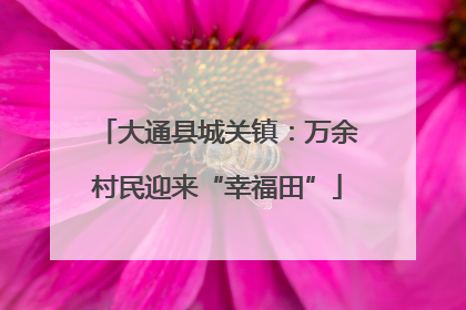 大通县城关镇：万余村民迎来“幸福田”