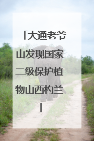 大通老爷山发现国家二级保护植物山西杓兰