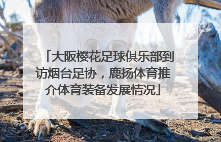 大阪樱花足球俱乐部到访烟台足协，鹿扬体育推介体育装备发展情况