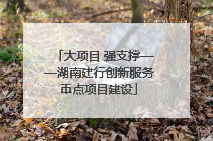 大项目 强支撑——湖南建行创新服务重点项目建设