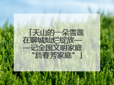 天山的一朵雪莲在聊城灿烂绽放——记全国文明家庭“詹春芳家庭”