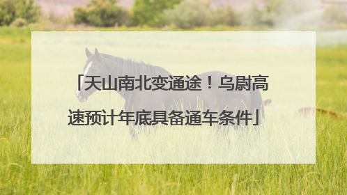 天山南北变通途！乌尉高速预计年底具备通车条件