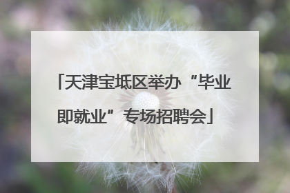天津宝坻区举办“毕业即就业”专场招聘会
