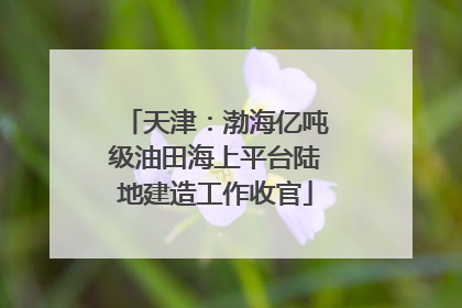 天津：渤海亿吨级油田海上平台陆地建造工作收官