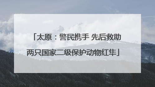 太原：警民携手 先后救助两只国家二级保护动物红隼