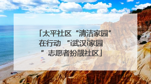 太平社区“清洁家园”在行动 “i武汉i家园”志愿者扮靓社区
